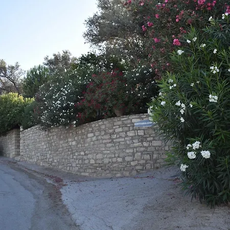 Anevolema * קמילרי