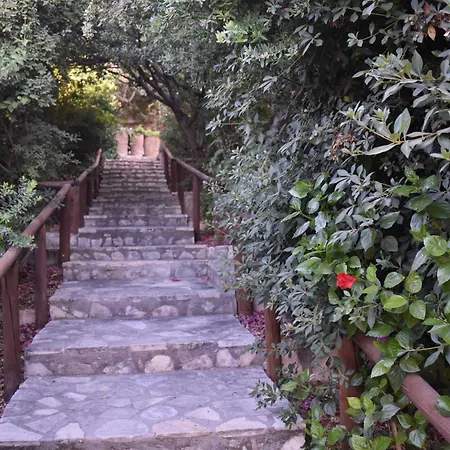 Anevolema * קמילרי
