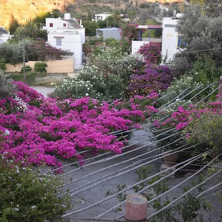 Anevolema קמילרי