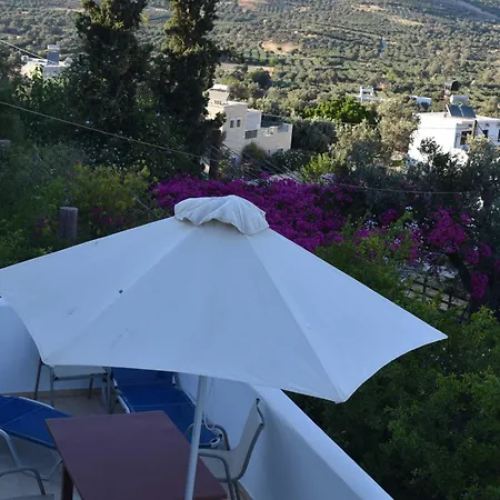 Anevolema * קמילרי