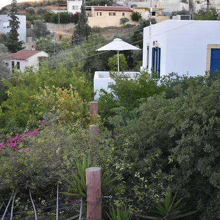 Anevolema קמילרי
