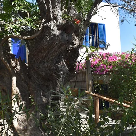 Apartmán Anevolema