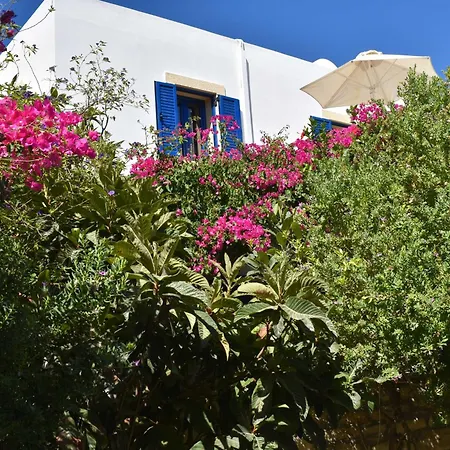 Apartmán Anevolema *