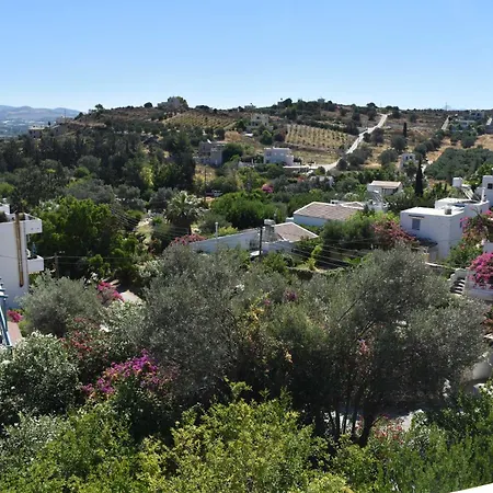 Anevolema