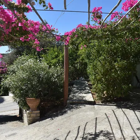 Anevolema